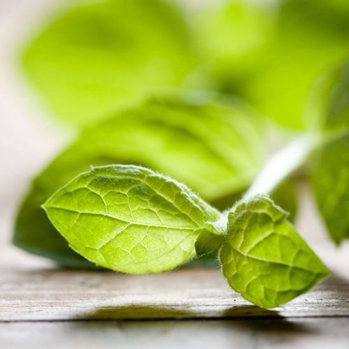 Green Vegetable & Mint Salad